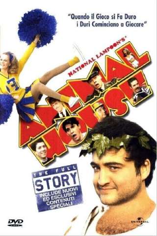 Animal House streaming