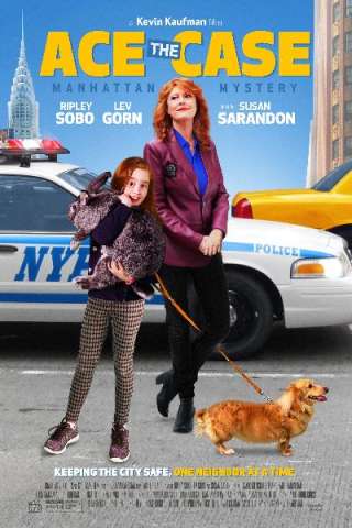 Ace The Case - Piccola investigatrice a Manhattan streaming