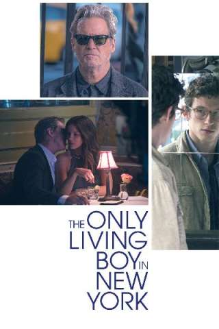 The Only Living Boy in New York streaming