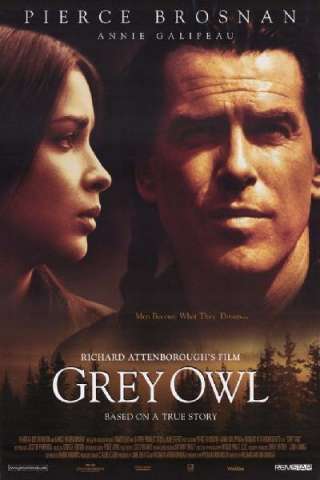 Grey Owl - Gufo grigio streaming