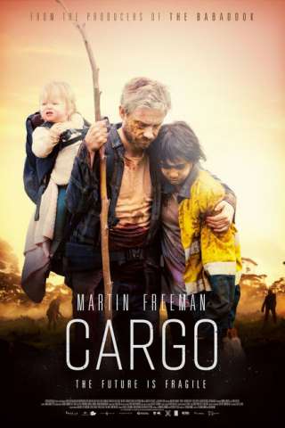 Cargo streaming
