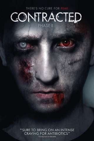 Contracted - Fase II streaming