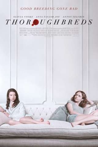 Amiche di sangue streaming