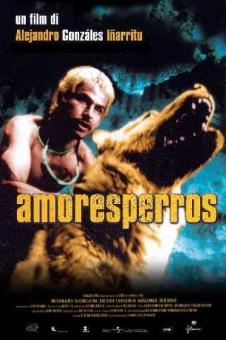 Amores perros streaming