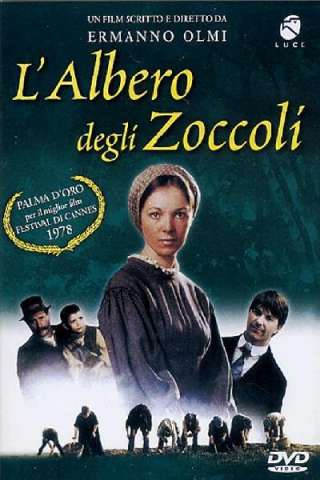 L'albero degli zoccoli streaming