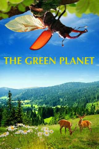 Il pianeta verde streaming