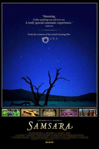Samsara streaming