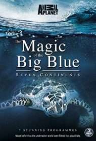 The Magic of The Big Blue streaming