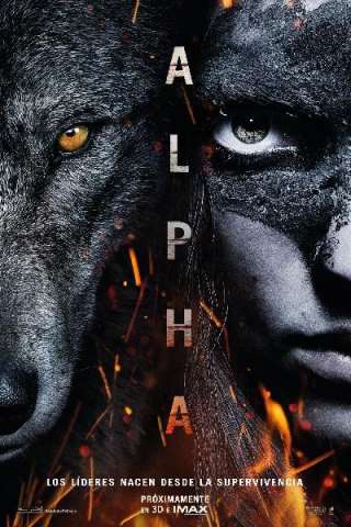 Alpha - Un'amicizia forte come la vita streaming