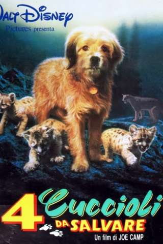 4 cuccioli da salvare streaming