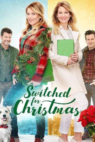 Scambiamoci a Natale streaming