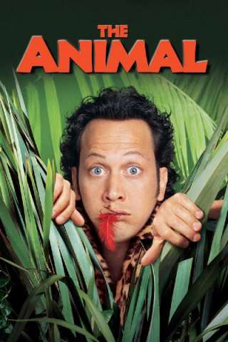 Animal streaming