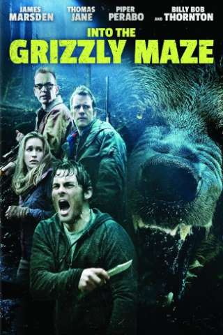 Labirinto dei Grizzly streaming
