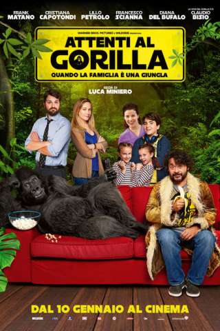 Attenti al gorilla streaming