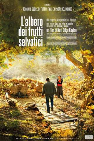 L'albero dei frutti selvatici streaming