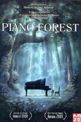 Piano Forest - Il piano nella foresta streaming