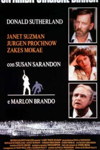 Un'arida stagione bianca streaming