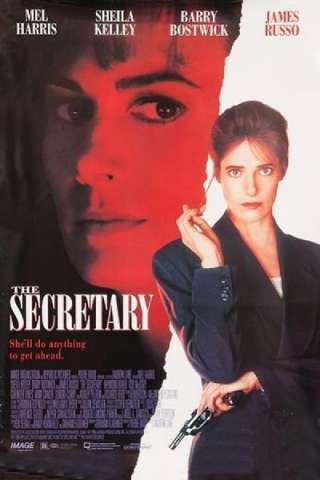 Istinto criminale - The Secretary streaming