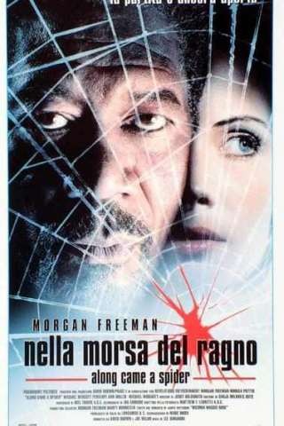 Nella morsa del ragno streaming
