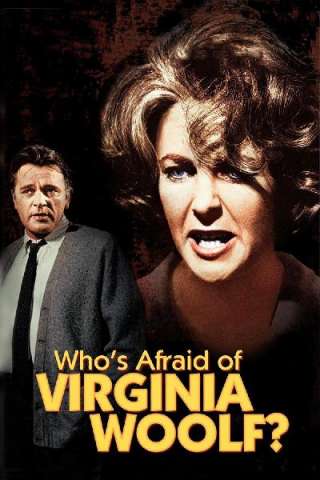 Chi ha paura di Virginia Woolf? streaming