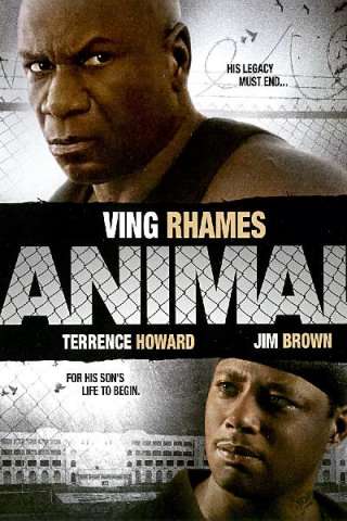 Animal - Il criminale streaming