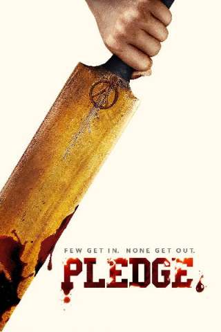 Pledge streaming