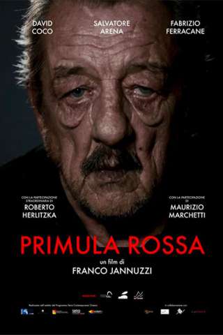 Primula Rossa streaming