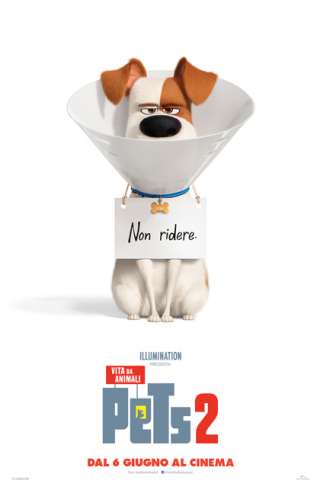 Pets 2 - Vita da animali streaming