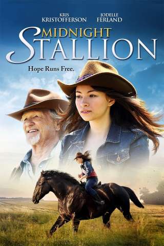Midnight Stallion streaming