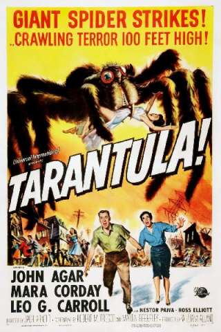 Tarantola streaming