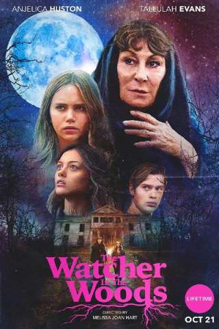 Il mistero di Aylwood House streaming