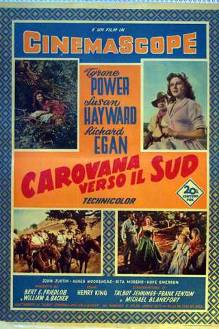 Carovana verso il sud streaming
