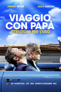 Viaggio con papà - Istruzioni per l'uso streaming