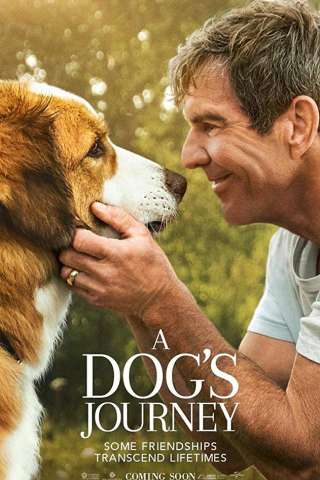 A Dog's Journey streaming