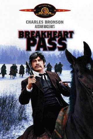 Io non credo a nessuno streaming