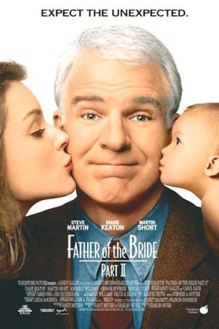 Il padre della sposa 2 streaming