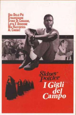 I gigli del campo [B/N] streaming