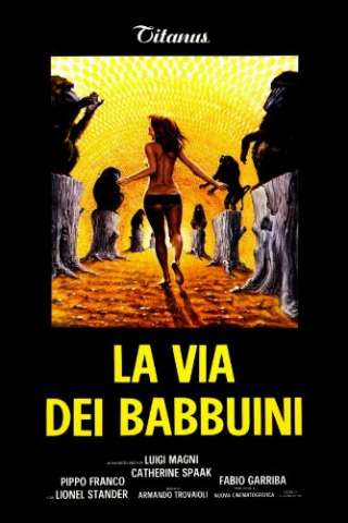 La via dei babbuini streaming