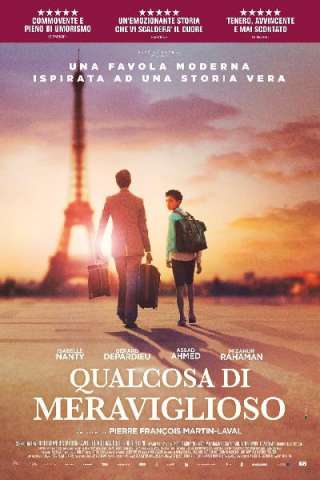 Qualcosa di meraviglioso streaming