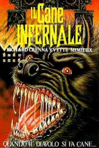 Il cane infernale streaming