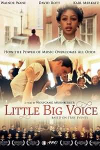 La piccola grande voce streaming