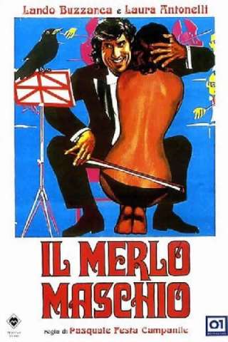 Il merlo maschio streaming