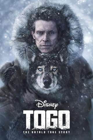 Togo: Una grande amicizia streaming