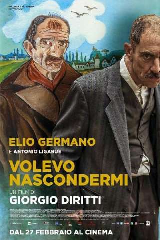 Volevo nascondermi streaming