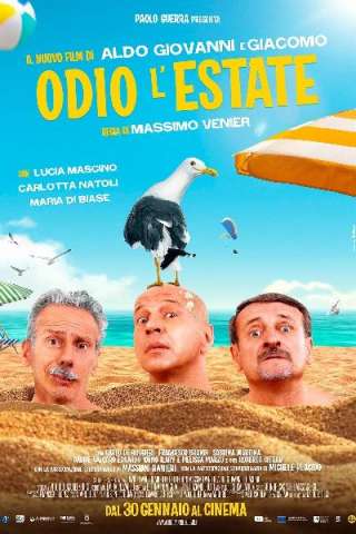 Odio l'estate streaming