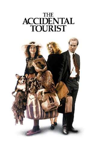 Turista per caso streaming
