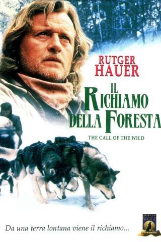 Il richiamo della foresta streaming