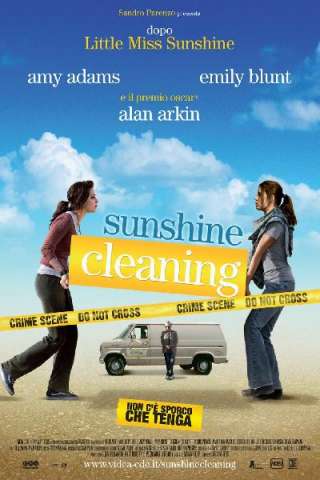 Sunshine Cleaning - Non ce sporco che tenga streaming