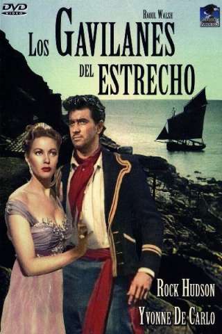 Gli sparvieri dello stretto streaming