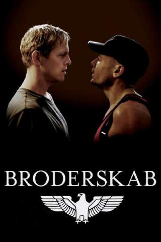 Brotherhood - Fratellanza streaming